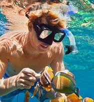 Boy underwater looking at fish with snorkeling gear.