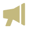 Icon illustration of a megaphone