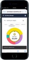 mobile phone showing a pie chart for Money Manager