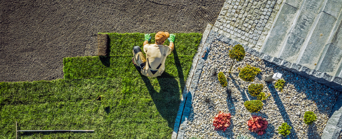 Man updating home landscape laying sod